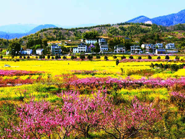 阳山畈村旅游景点攻略