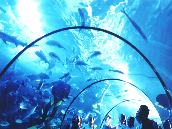东湖海洋世界旅游景点风景